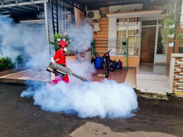 How Preventive Domestic Pest Control Services Can Save You Money
